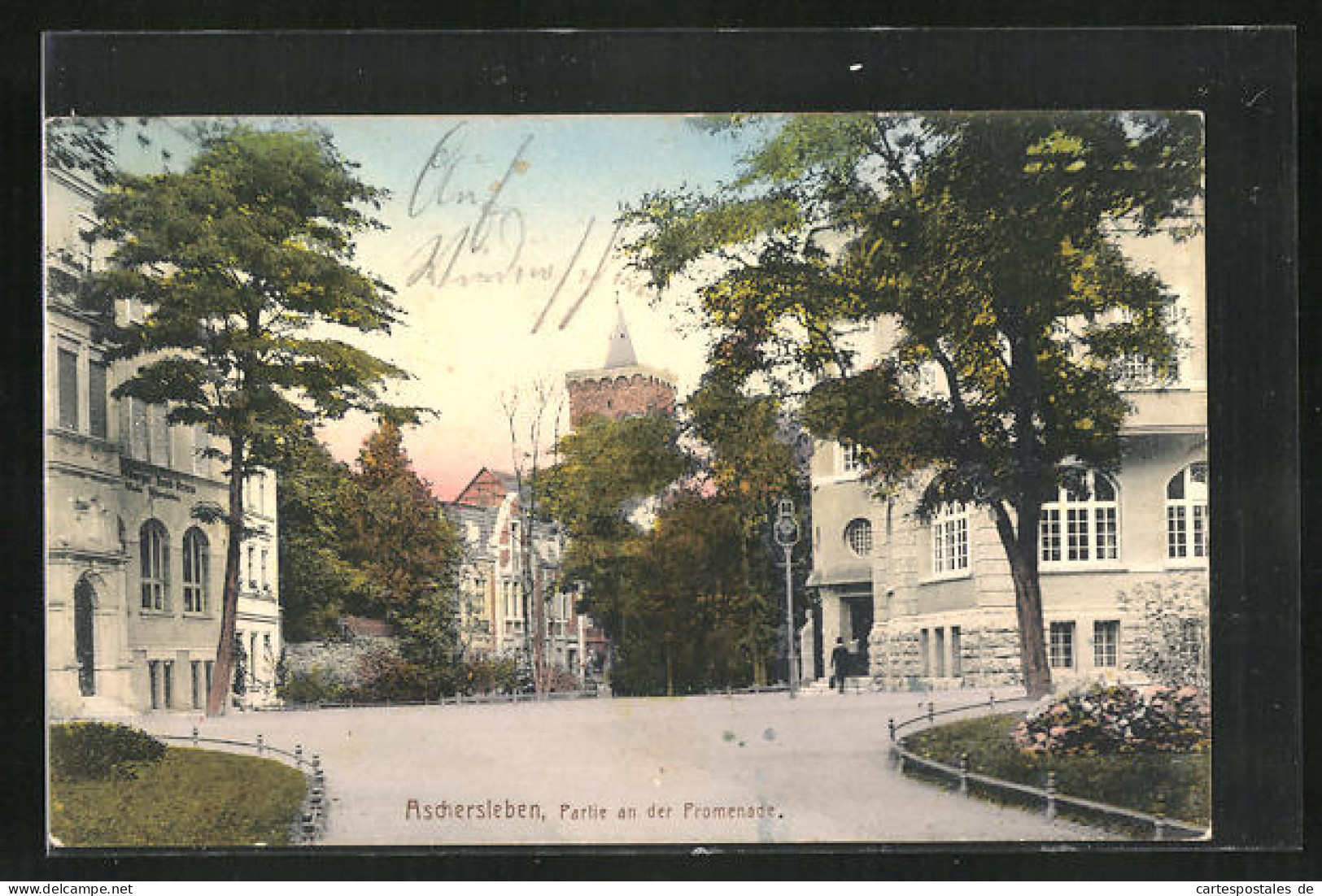 AK Aschersleben, Strassenpartie An Der Augustapromenade  - Aschersleben