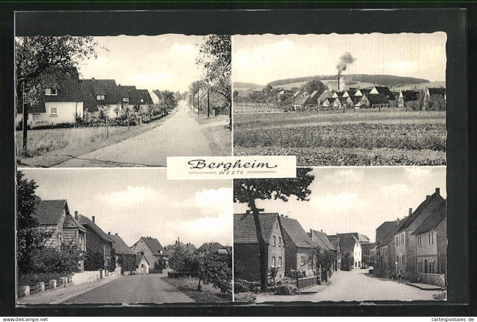 AK Bergheim, Gesamtansicht, Strassenpartie, Blick In Die Siedlung  - Bergheim