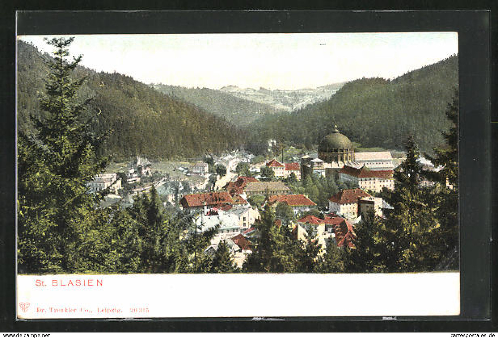 AK St. Blasien, Blick Auf Ort Und Bewaldete Hügel  - St. Blasien