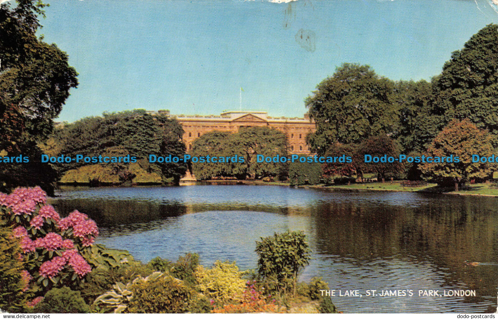 R079136 The Lake. St. James Park. London. Salmon - Autres & Non Classés