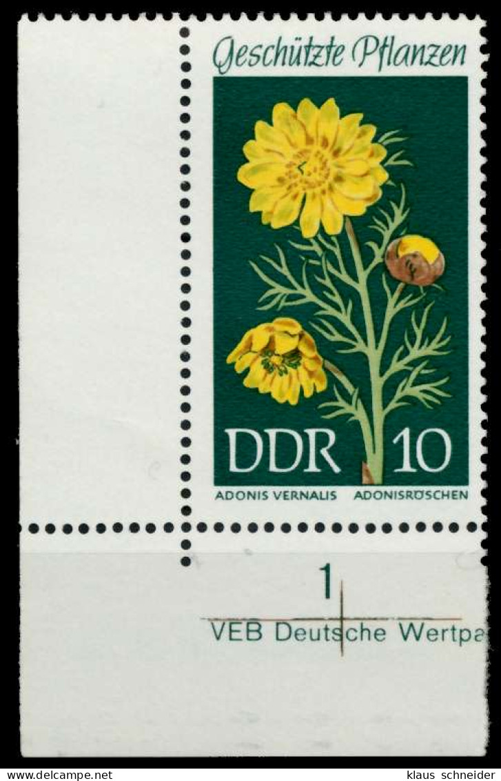 DDR 1969 Nr 1457 Postfrisch ECKE-ULI X93DD86 - Ungebraucht