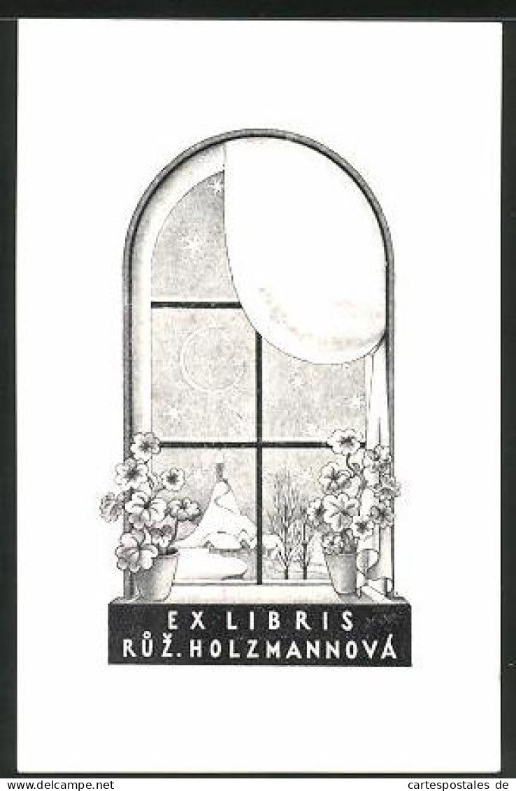 Exlibris Ruz. Holzmannová, Blume Im Blumentopf  - Ex Libris