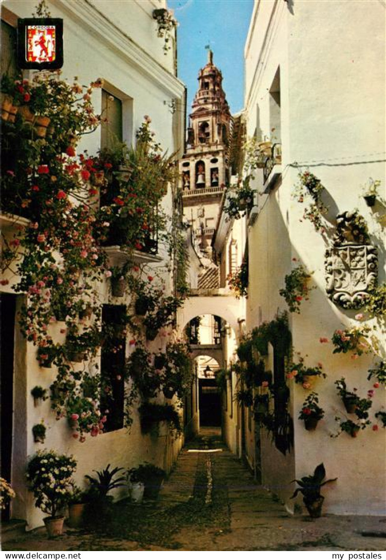 73944918 Cordoba_Andalucia_ES Calleja De La Flores - Other & Unclassified