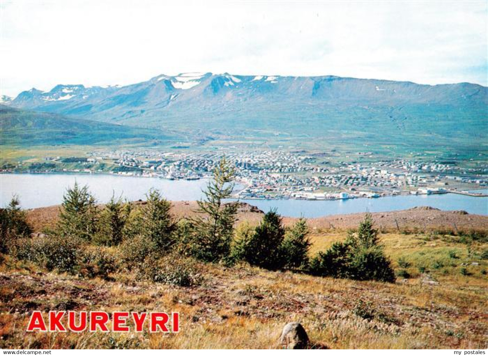 73944875 Akureyri_Iceland Panorama - Islandia