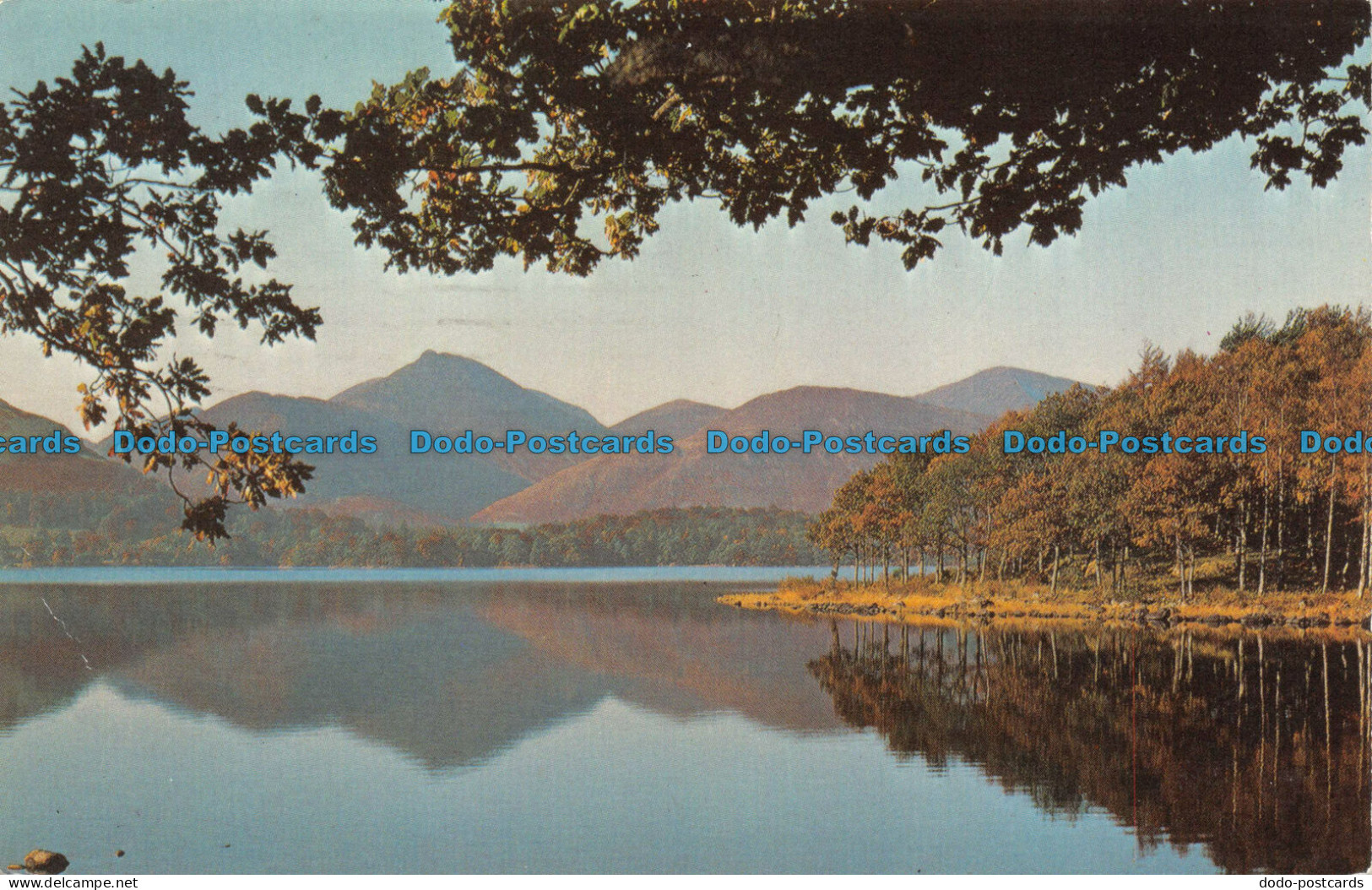 R080258 The English Lakes. Derwentwater From Stable Hills. Keswick Sanderson And - Welt