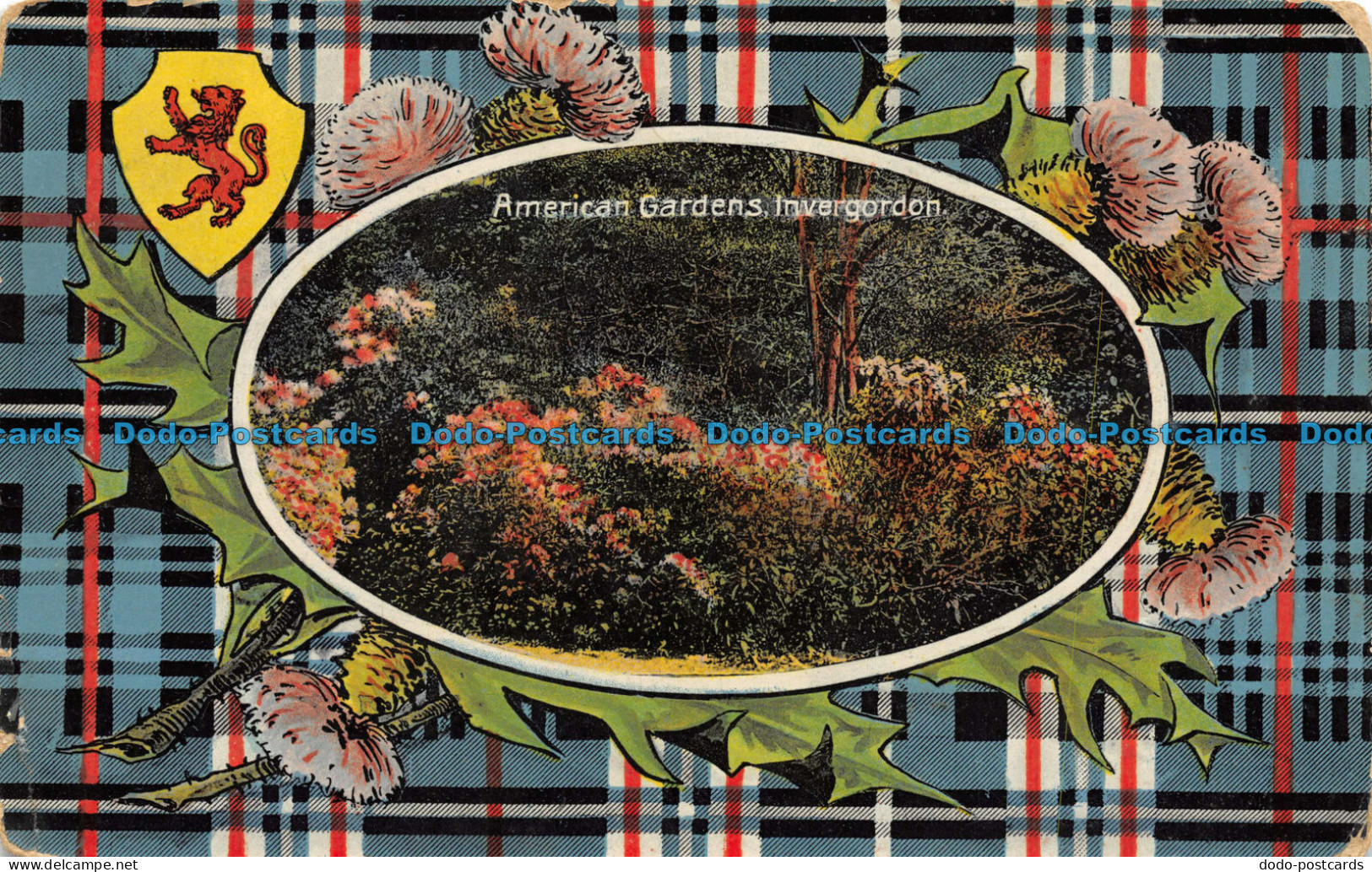 R080663 American Gardens. Invergordon. J. Macpherson - Welt