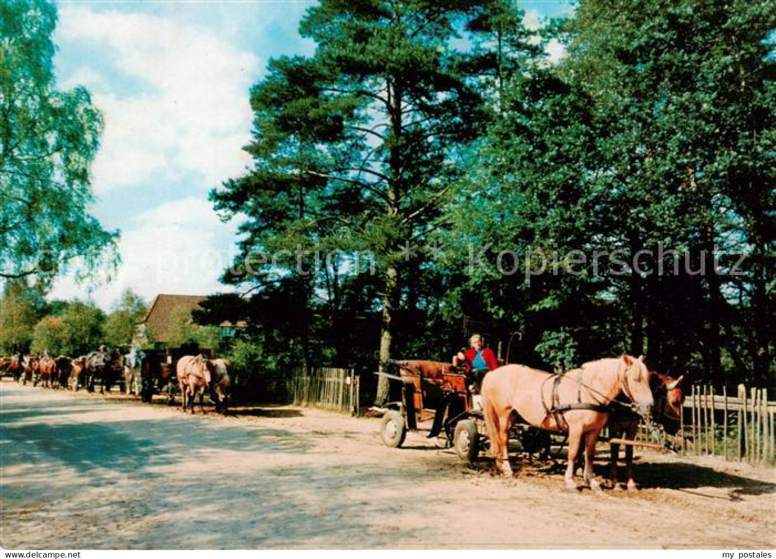 73864884 Undeloh Kutschwagenstation Im Naturschutzpark Lueneburger Heide Undeloh - Andere & Zonder Classificatie