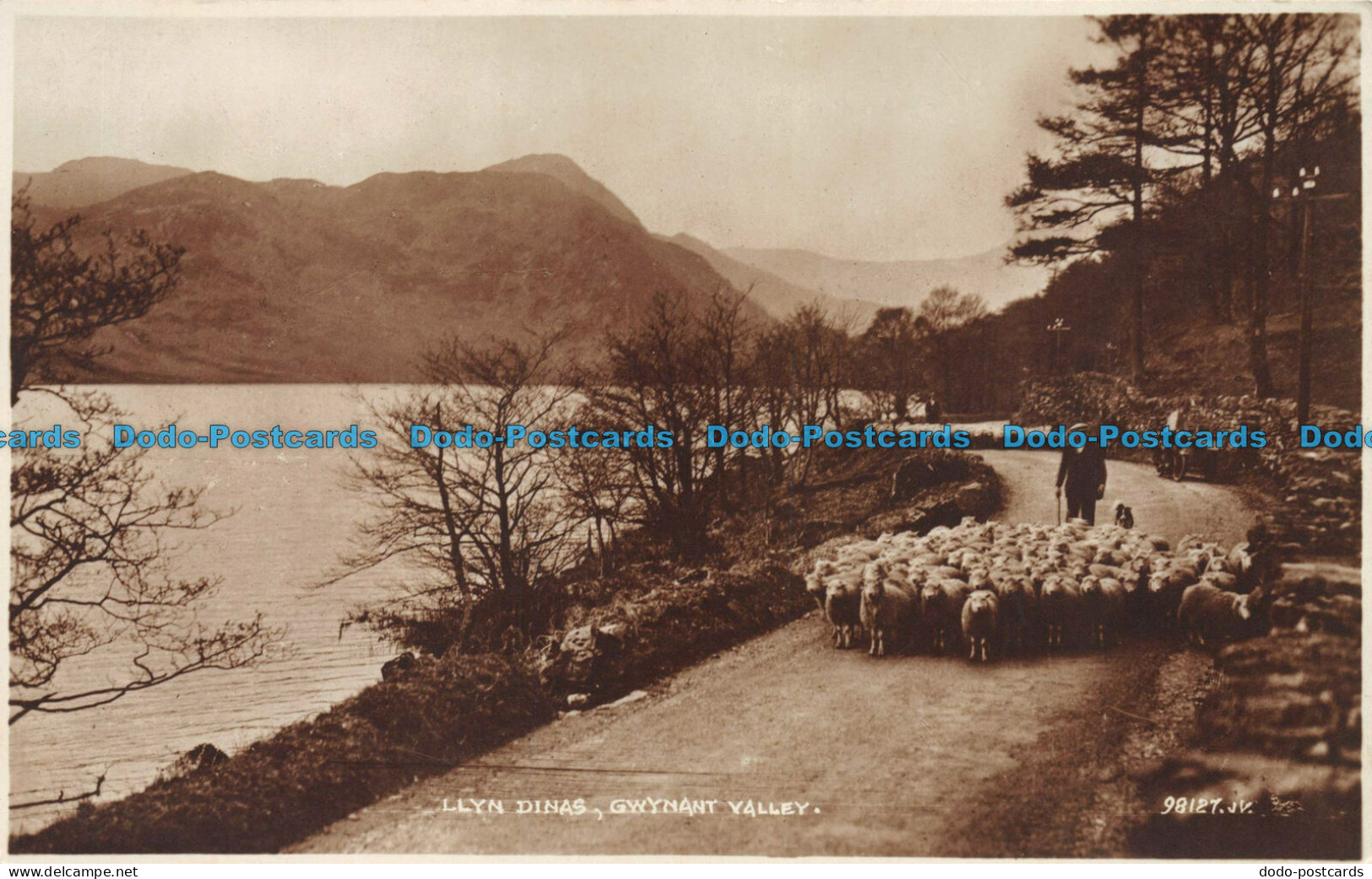 R080273 Llyn Dinas. Gwynant Valley. Valentines Real Photo Cards - Welt