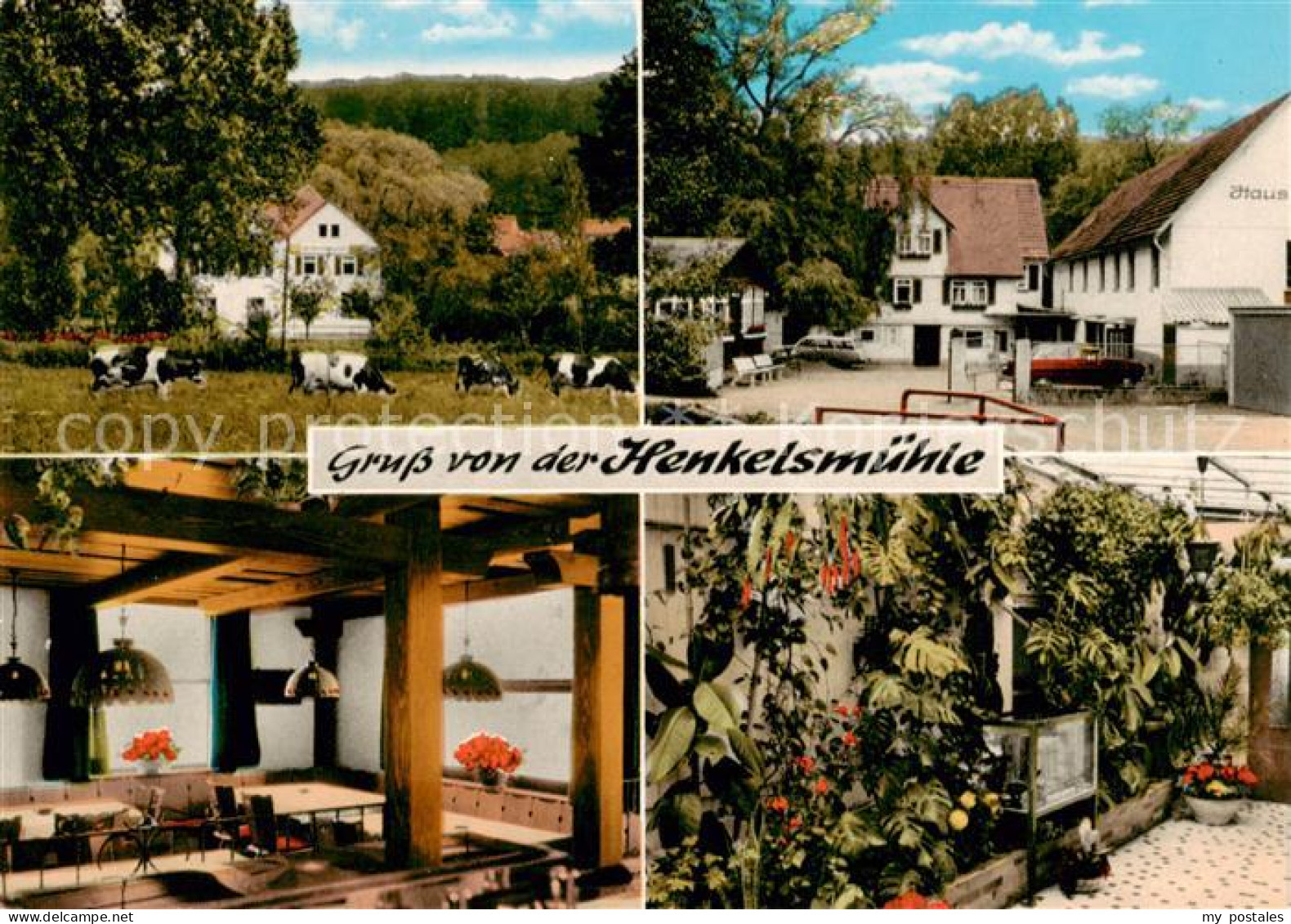 73864840 Merkenfritz Hirzenhain Restaurant Pension Henkelsmuehle  - Otros & Sin Clasificación