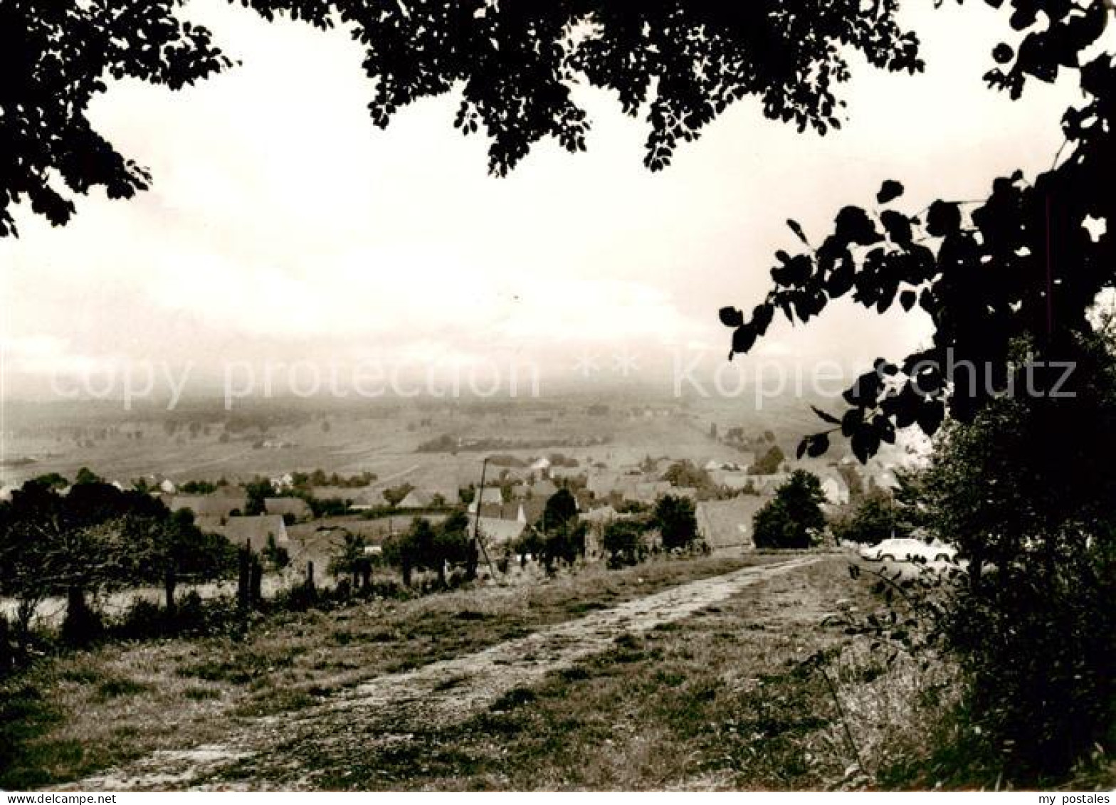 73830941 Nettelstedt Panorama Nettelstedt - Lübbecke