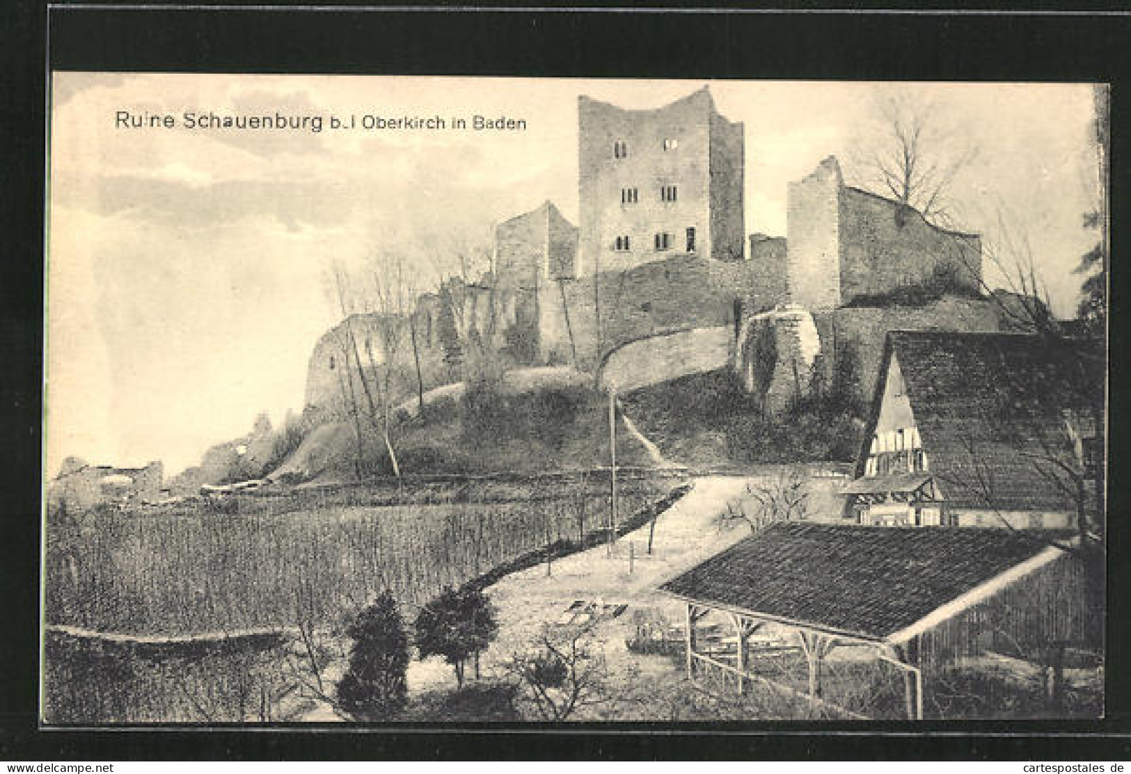 AK Oberkirch I. Baden, Ruine Schauenburg  - Oberkirch