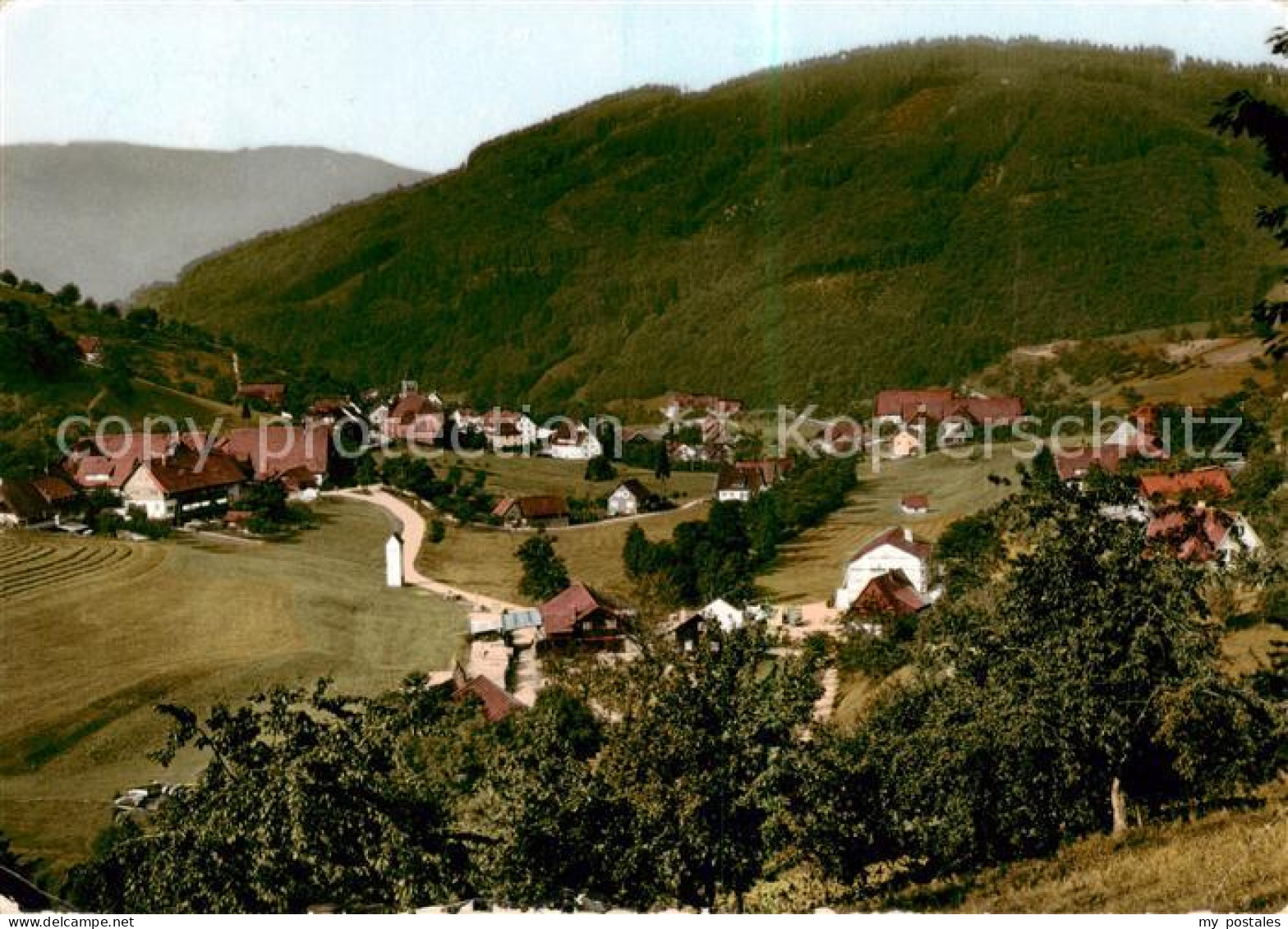 73796614 Seebach Ottenhoefen Schwarzwald Panorama Seebach Ottenhoefen - Andere & Zonder Classificatie