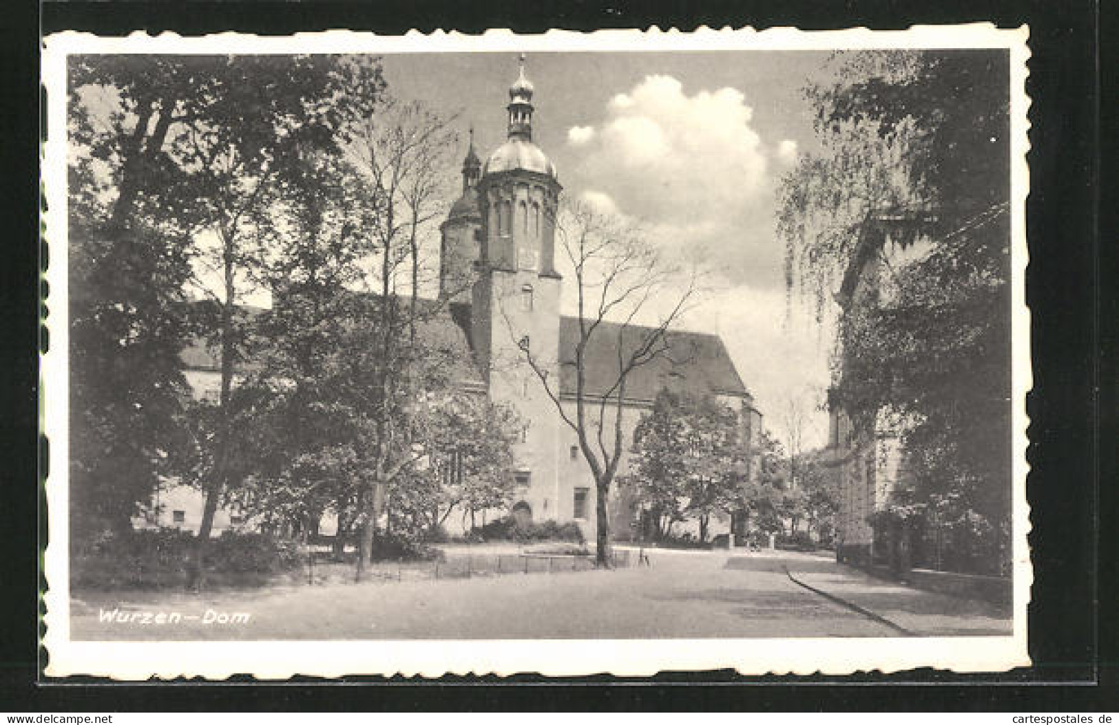 AK Wurzen, Strassenpartie Mit Dom  - Wurzen