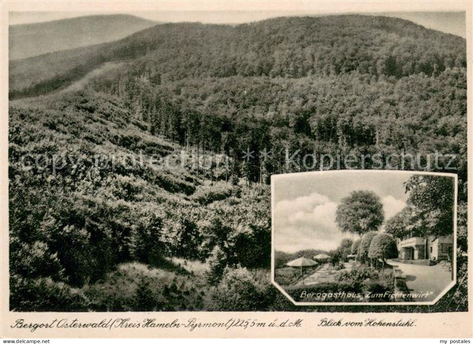 73756858 Osterwald Elze Berggasthaus Zum Fichtenwirt Hohenstuhl Osterwald Elze - Andere & Zonder Classificatie