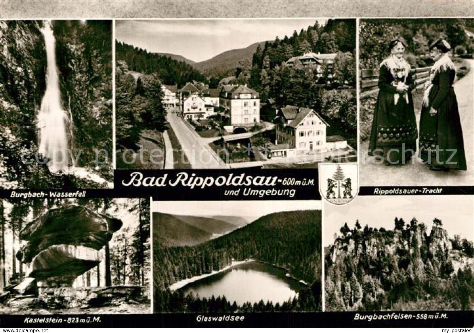 72977980 Bad Rippoldsau Schwarzwald Burgbach Wasserfall Kastelstein Felsen Glasw - Other & Unclassified