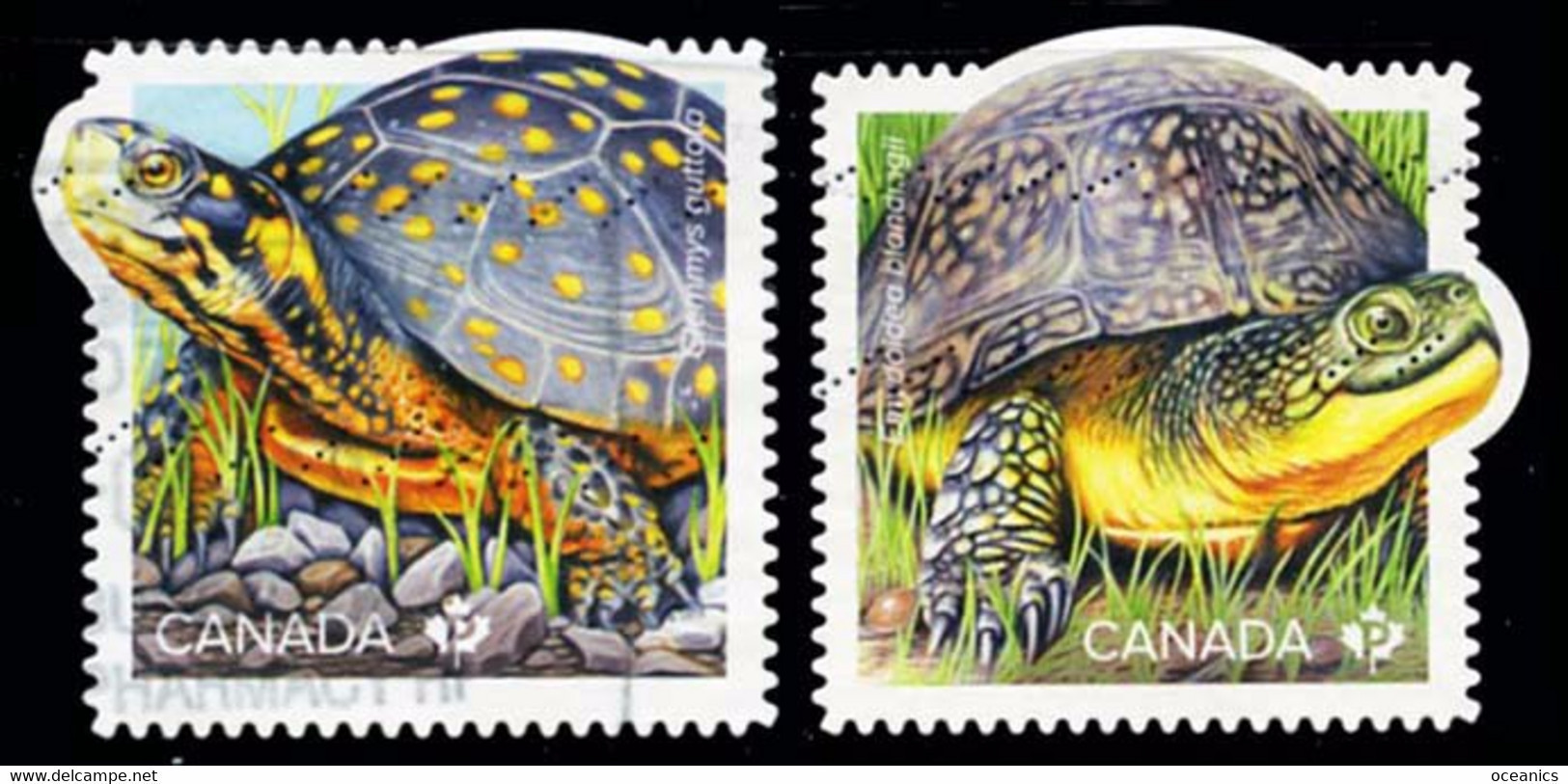 Canada (Scott No.3179a-b - Endangered Turtles) (o) Self Adhesive Pair - Gebraucht