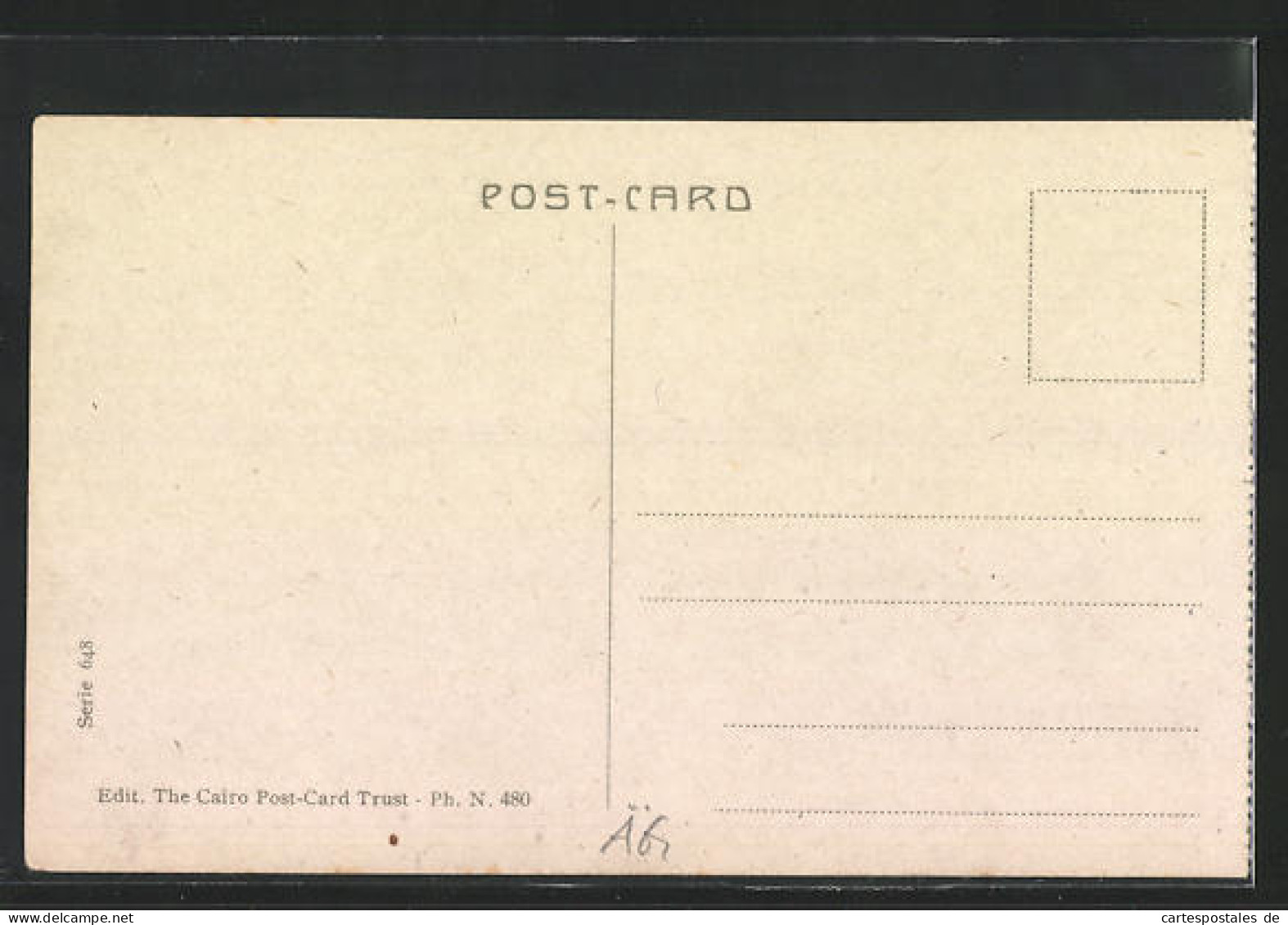 CPA Port-Said, General View Of The Main Street  - Otros & Sin Clasificación