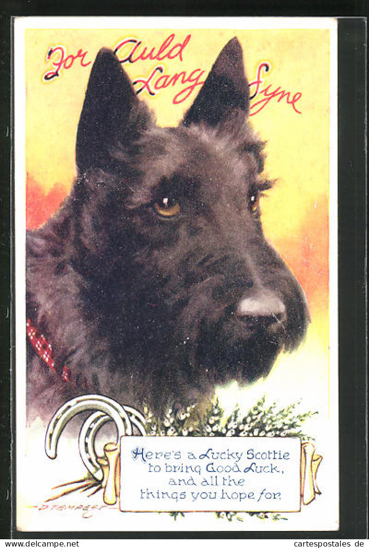 Künstler-AK Douglas Tempest: Schnauzer Lucky Scottie Im Portrait  - Altri & Non Classificati