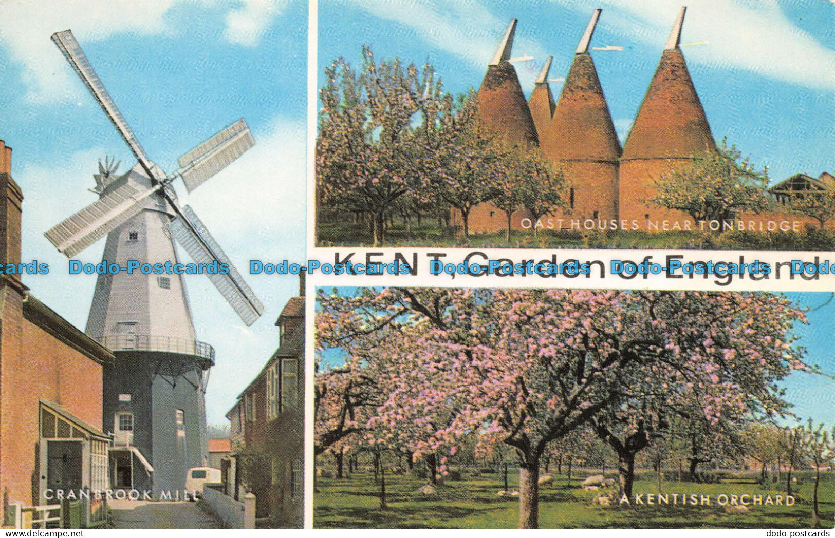 R081571 Kent. Garden Of England. Salmon. Multi View - Wereld