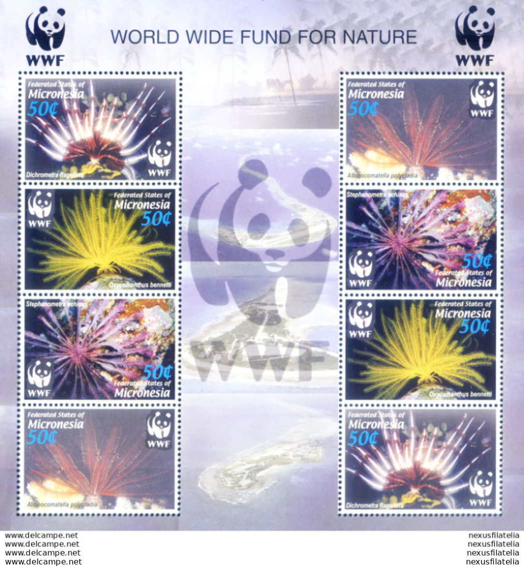 Flora Marina. WWF 2005. - Micronésie