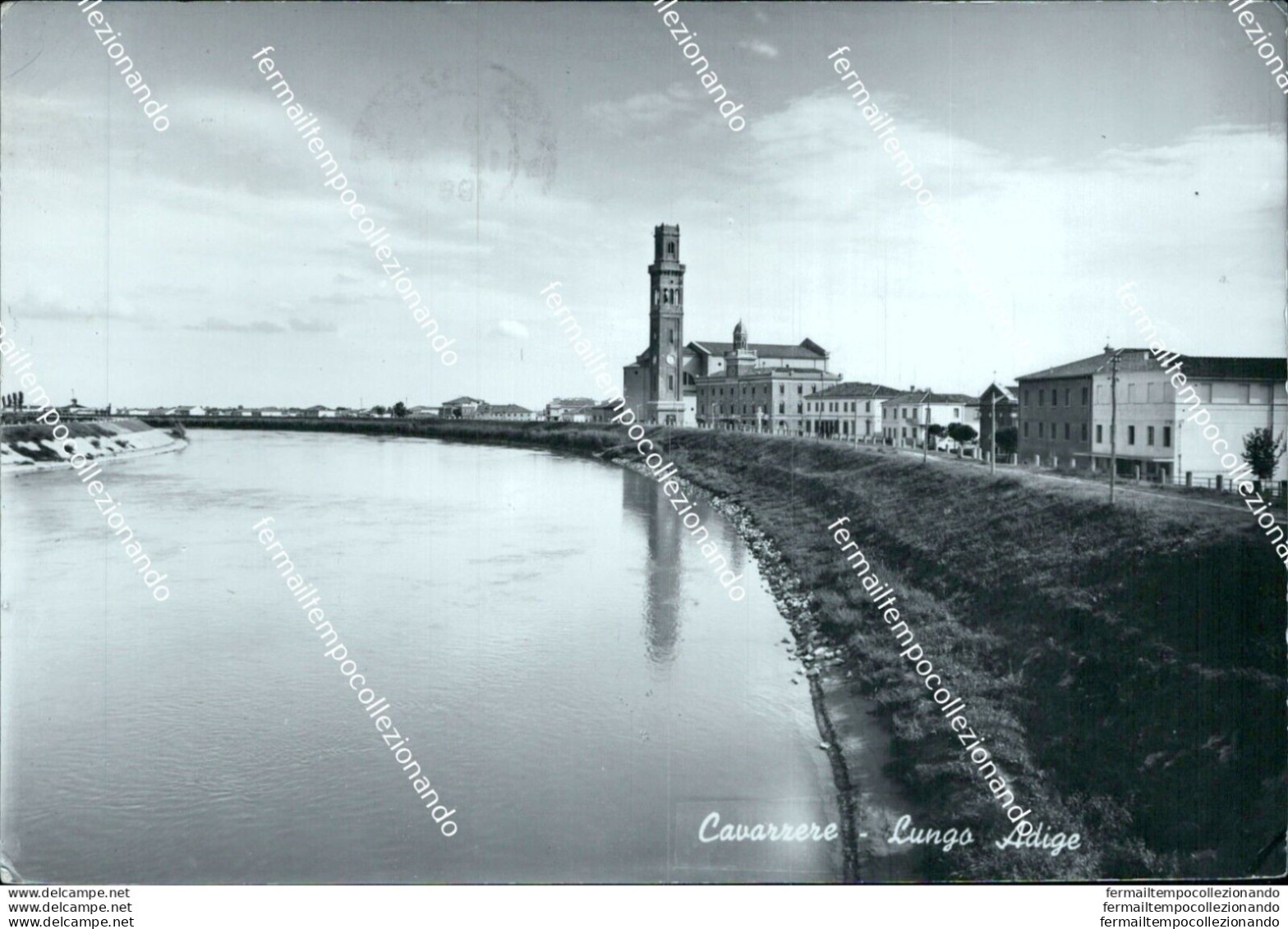 Bf624 Cartolina Cavarzere Lungo Adige Provincia Di Venezia - Venetië (Venice)