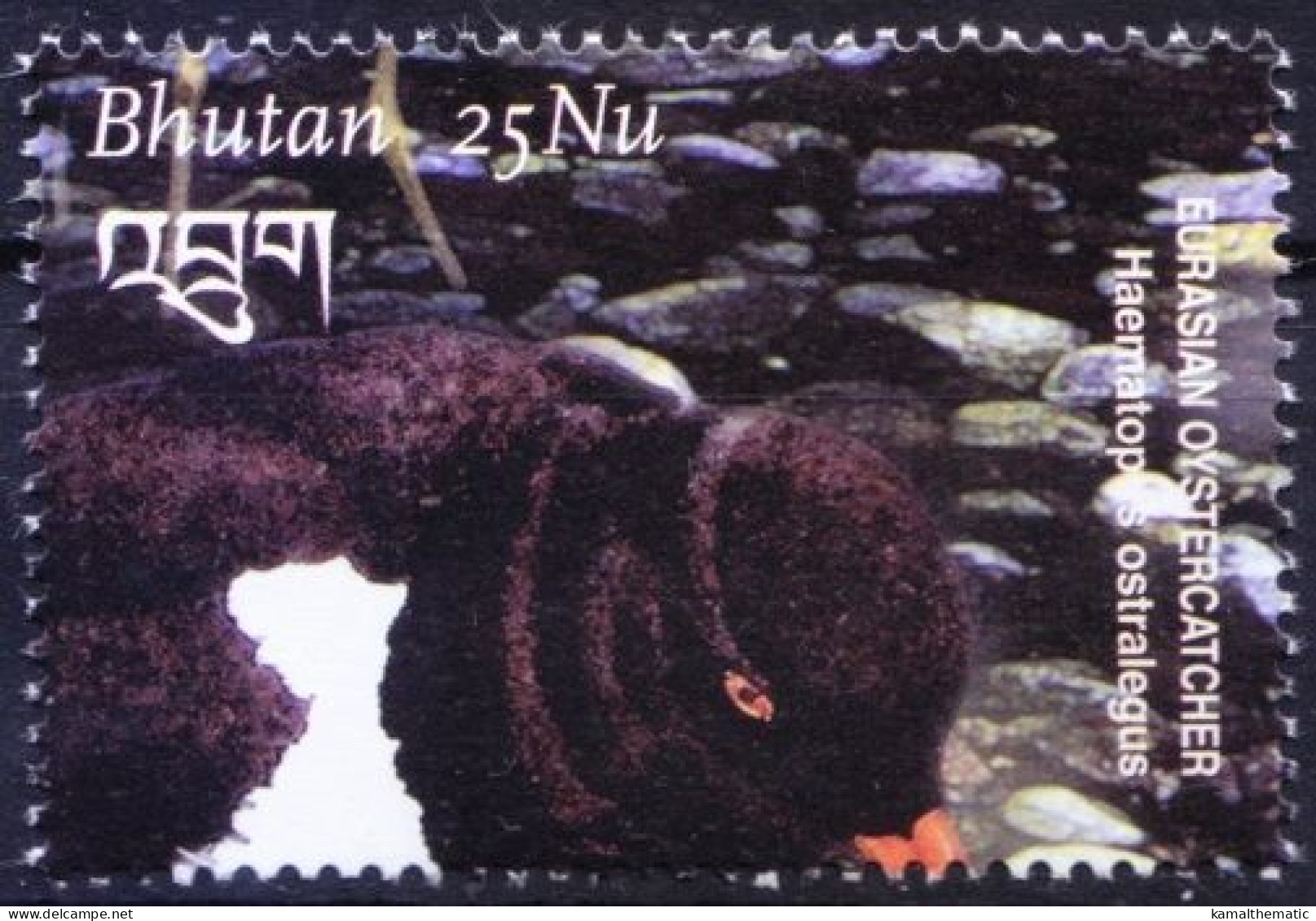 Bhutan 2003 MNH, Eurasian Oystercatche, Birds - Zangvogels