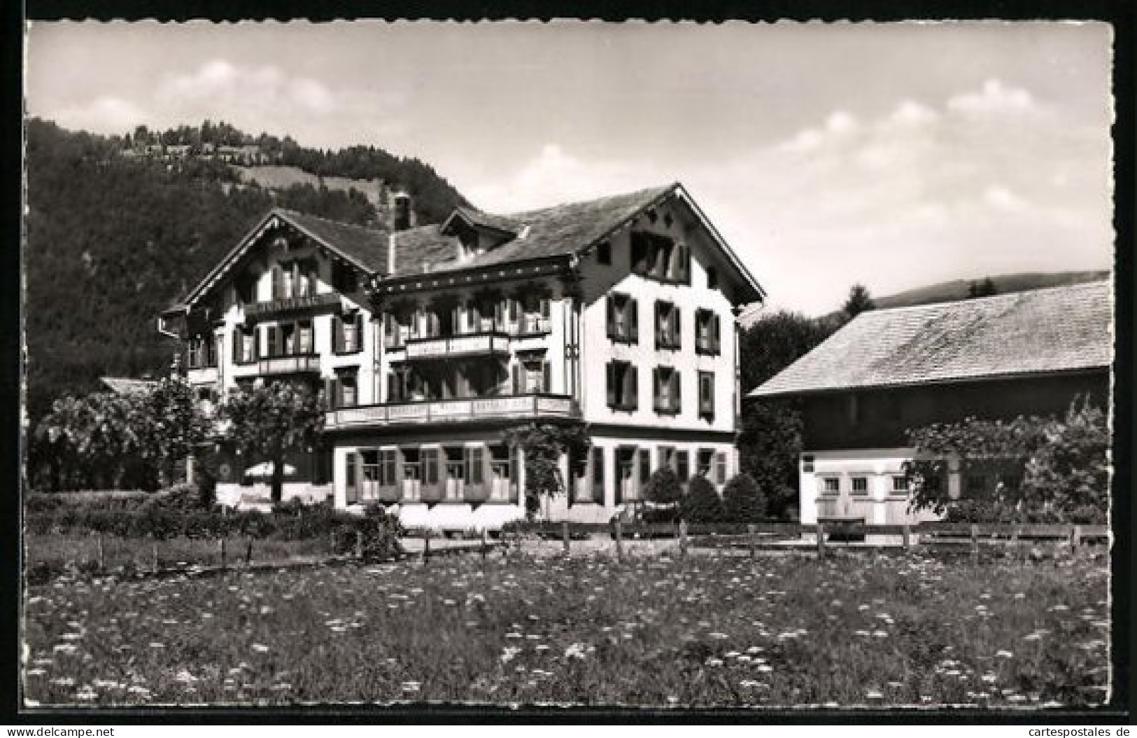 AK Wilderswil, Wiese Vor Dem Hotel Jungfrau  - Wilderswil