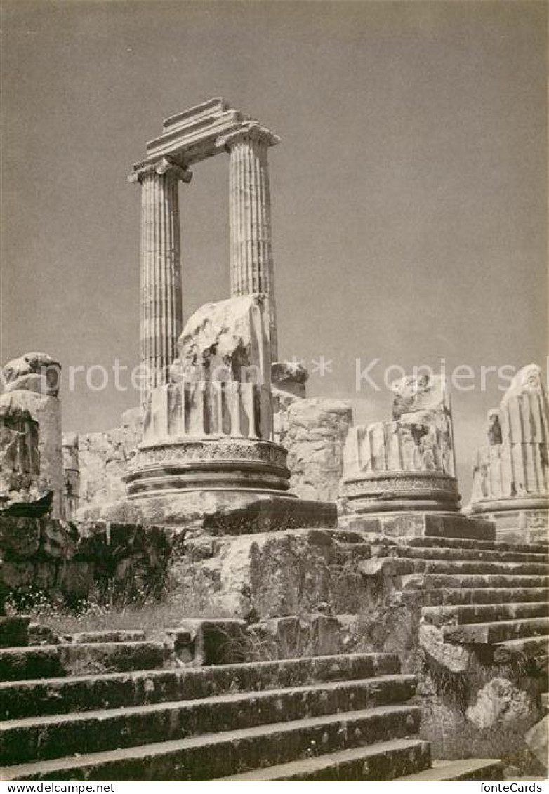 72954515 Didim Tempel Von Didyma Antike Staette Karawane Studienreisen Didim - Turkey