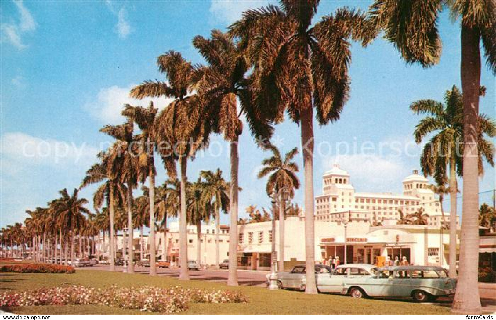 72953183 Palm_Beach Stately Royal Palms On Royal Poinciana Way Palm Beach Biltmo - Other & Unclassified