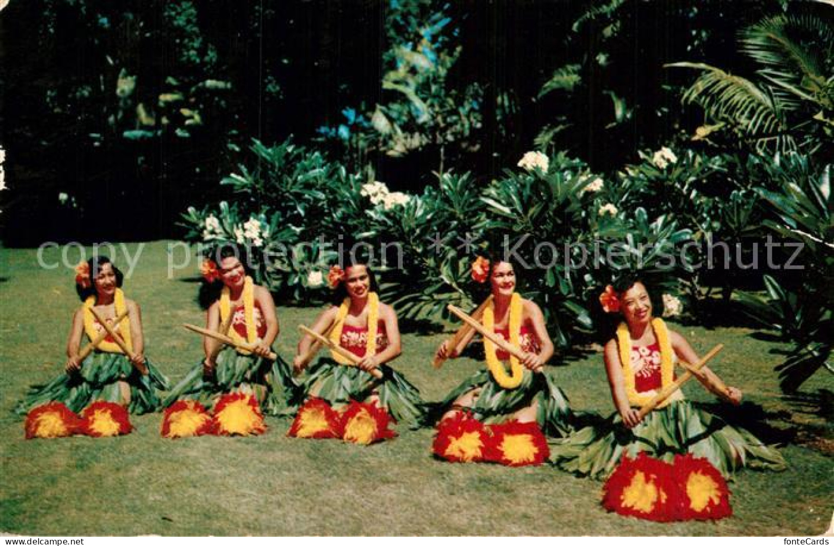 72944238 Honolulu Native Hula Girls In A Garden Of White Plumeria - Otros & Sin Clasificación