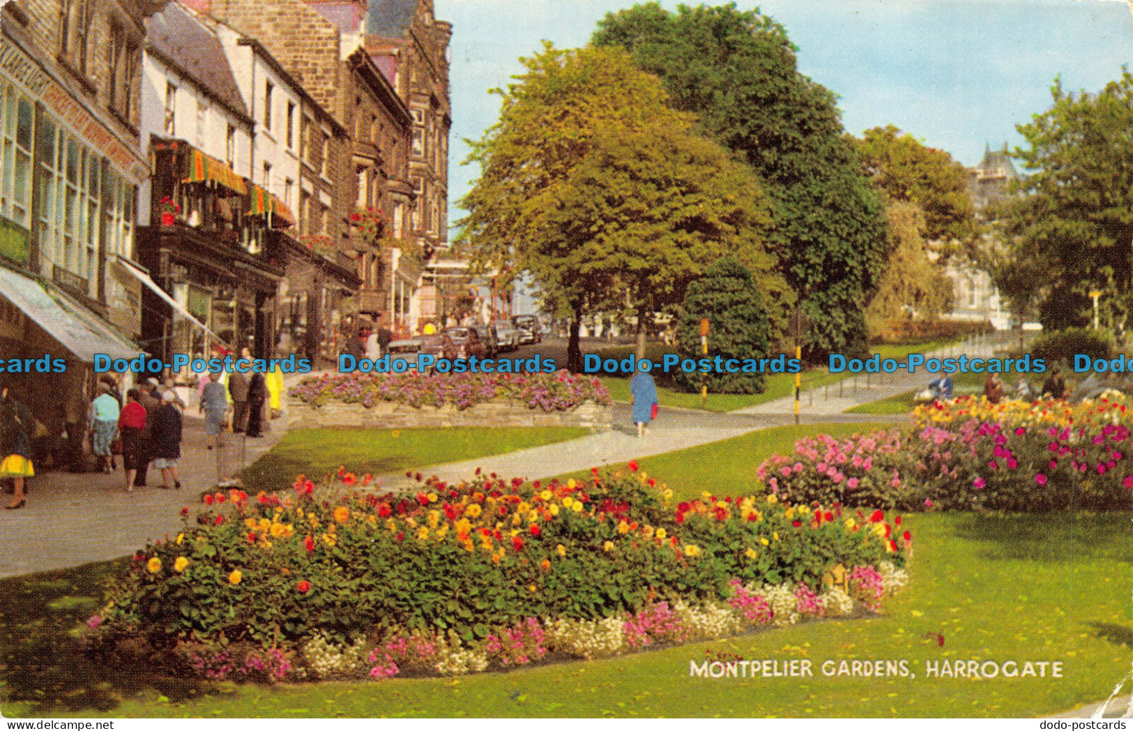 R081655 Montpelier Gardens. Harrogate. Salmon. 1977 - Mondo