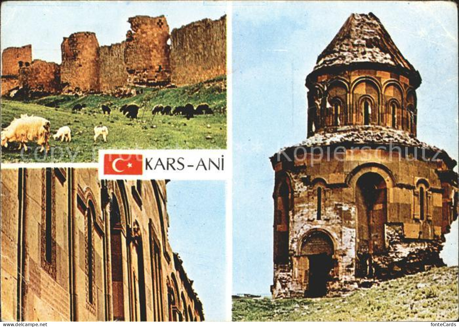 71841673 Kars Ani Schafe Kars - Türkei