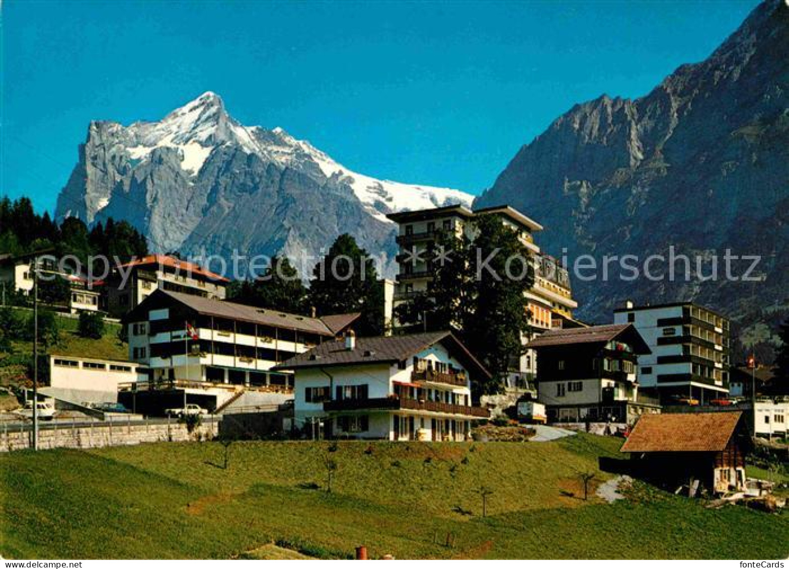 12662656 Grindelwald Wetterhorn Grindelwald - Autres & Non Classés