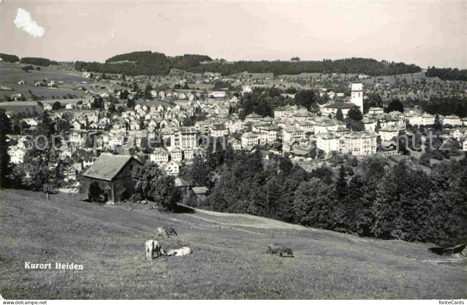 12632936 Heiden AR Gesamtansicht Heiden - Otros & Sin Clasificación