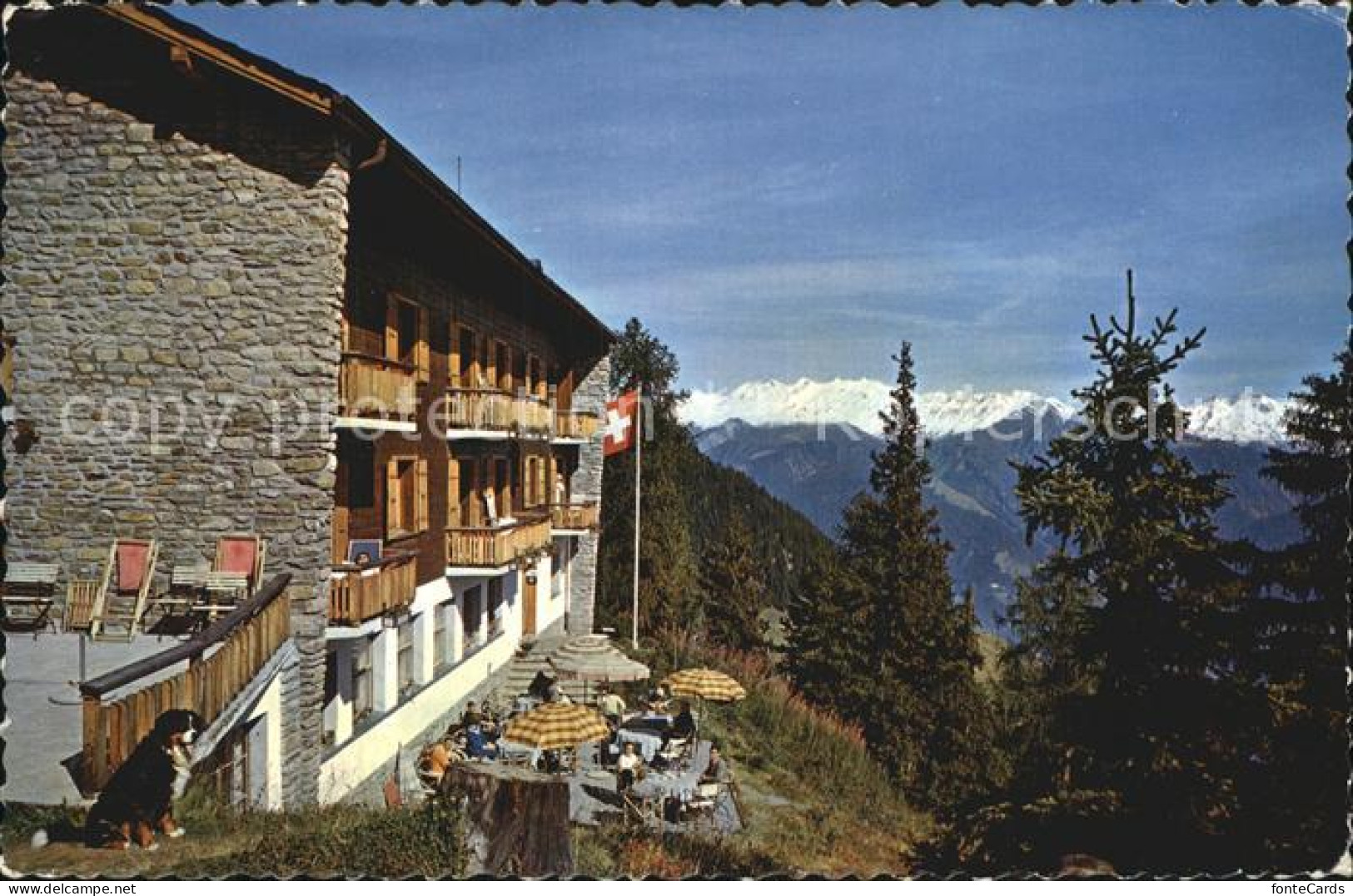 12605546 Bettmeralp VS Hotel Waldhaus Bettmeralp - Andere & Zonder Classificatie