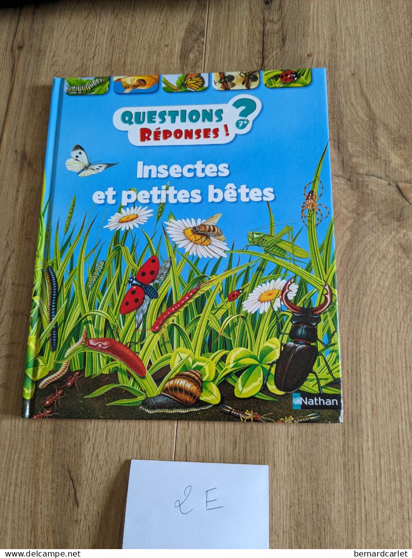 Livre Questions Réponses 7+ : Insectes Et Petites Bêtes - Wissenschaft
