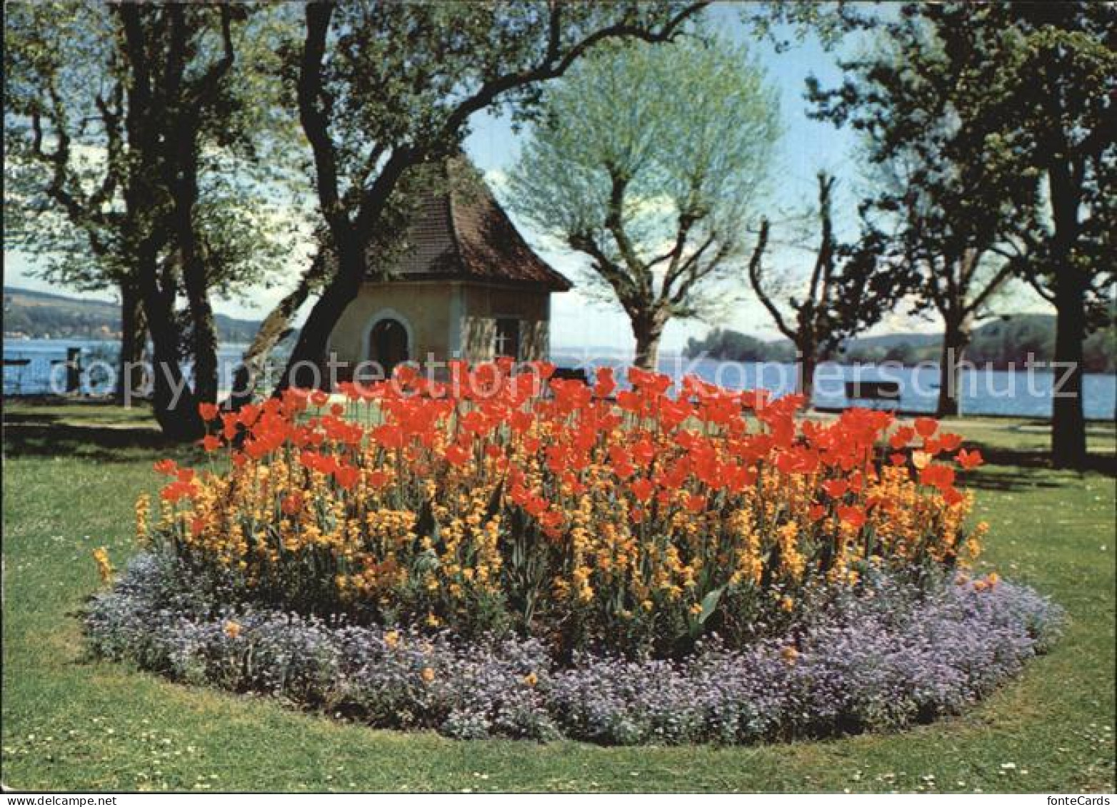 12588346 Mammern Tulpenbeet Kapelle Uferpromenade Bodensee Mammern - Sonstige & Ohne Zuordnung