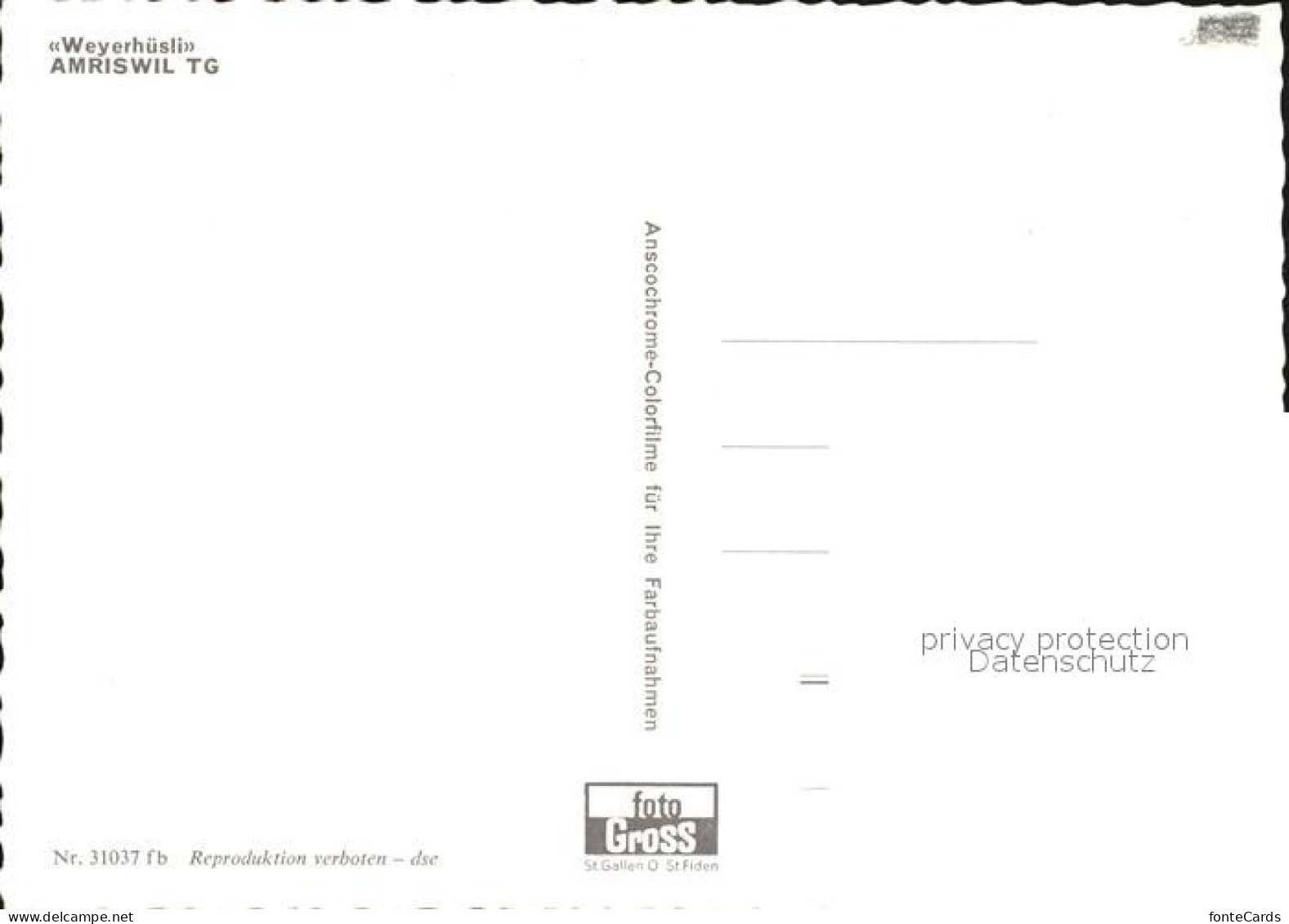 12587176 Amriswil TG Weyerhuesli Schwanenteich Amriswil - Otros & Sin Clasificación