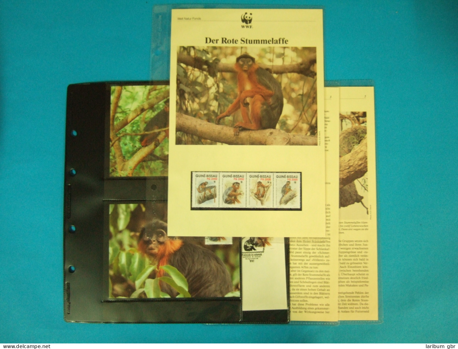 Guinea Bissau WWF Komplettes Kapitel Postfrisch MK FDC Rote Stummelaffe #GI313 - Guinea-Bissau