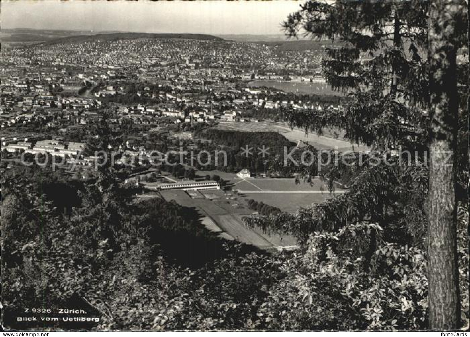 12578936 Zuerich ZH Uetliberg Zuerich - Autres & Non Classés