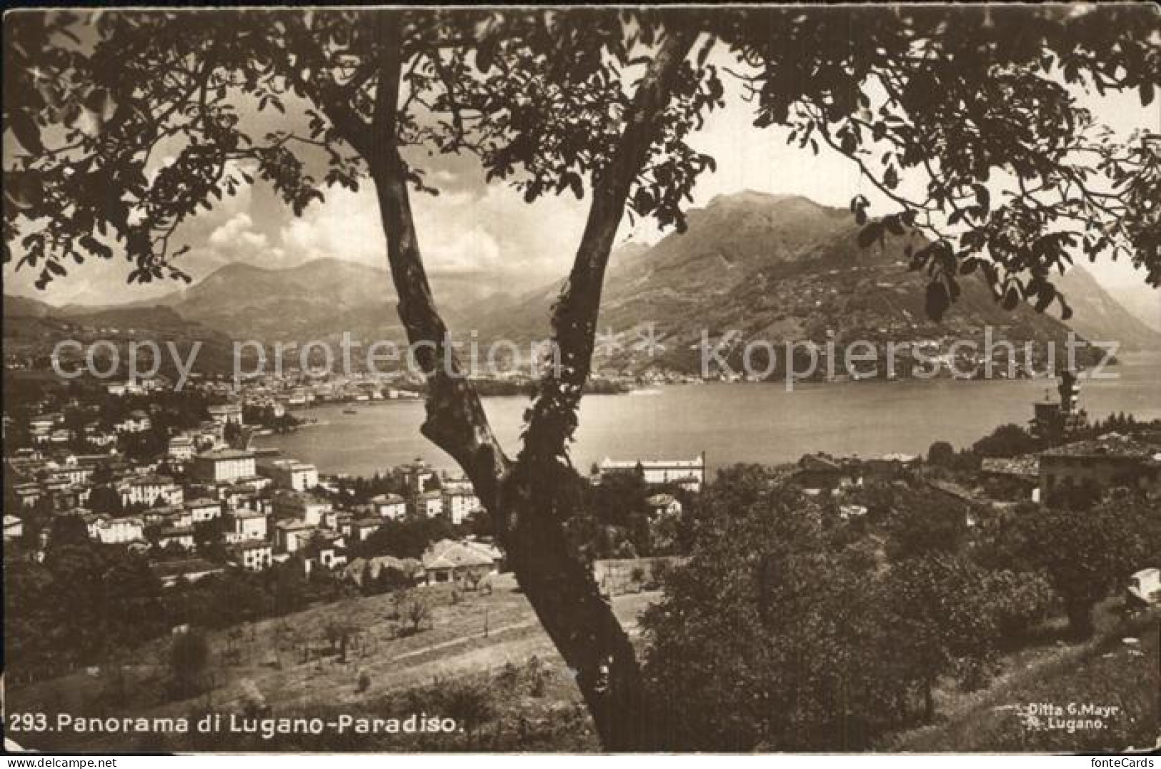 12574956 Paradiso Lago Di Lugano Panorama Paradiso - Andere & Zonder Classificatie