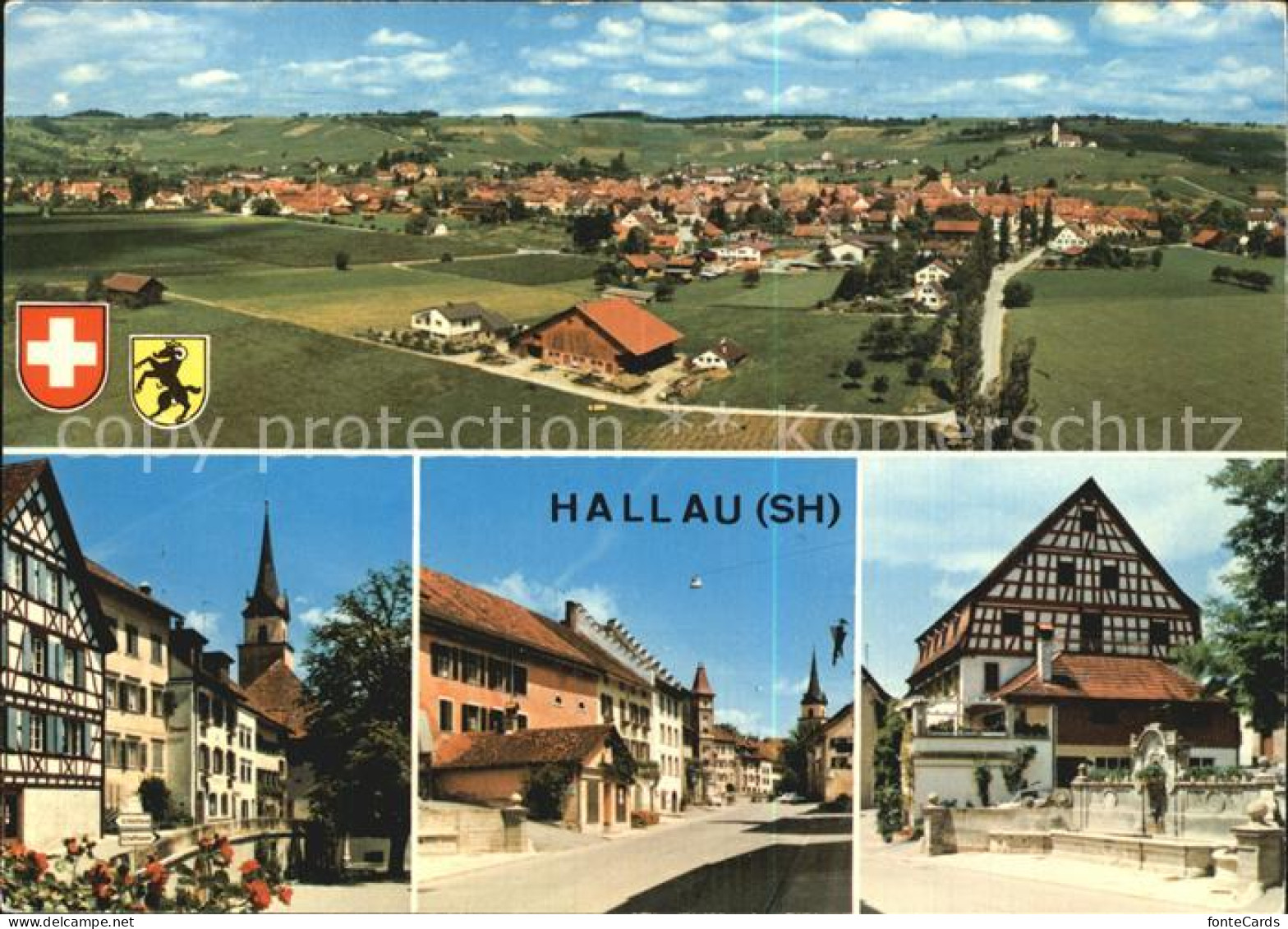 12549006 Hallau  Hallau - Sonstige & Ohne Zuordnung