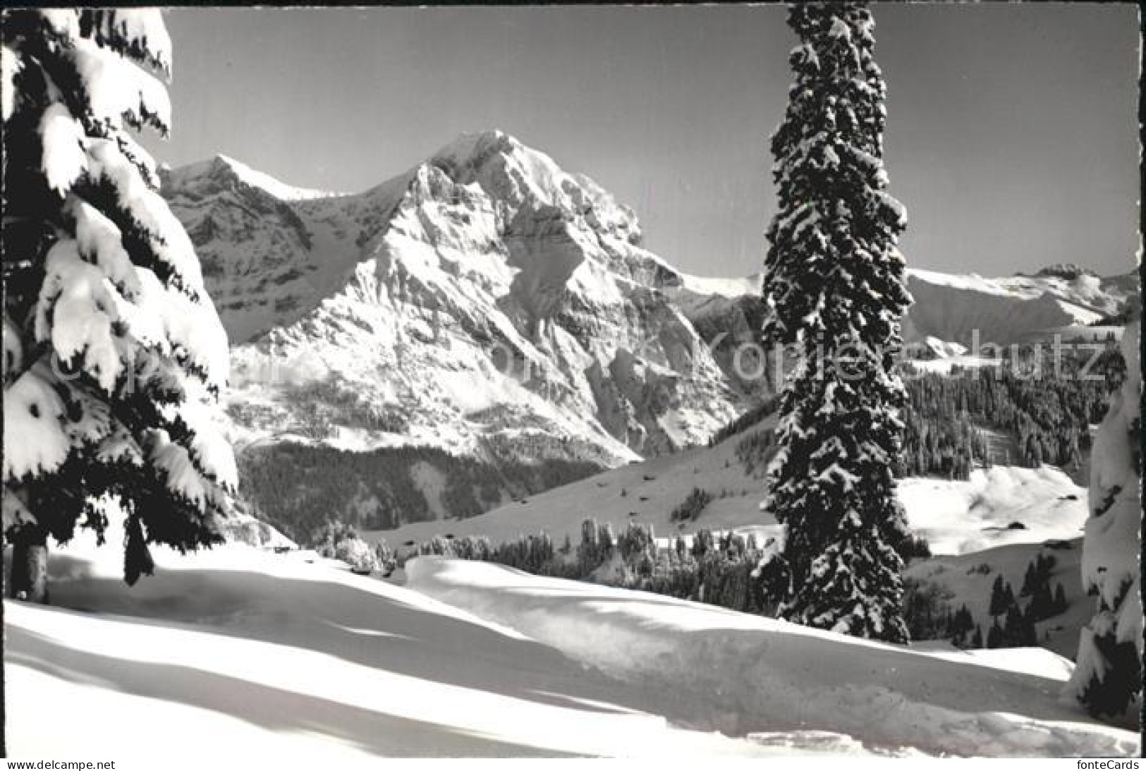 12513296 Adelboden Stiegelschwand Grosslohner Adelboden BE - Andere & Zonder Classificatie