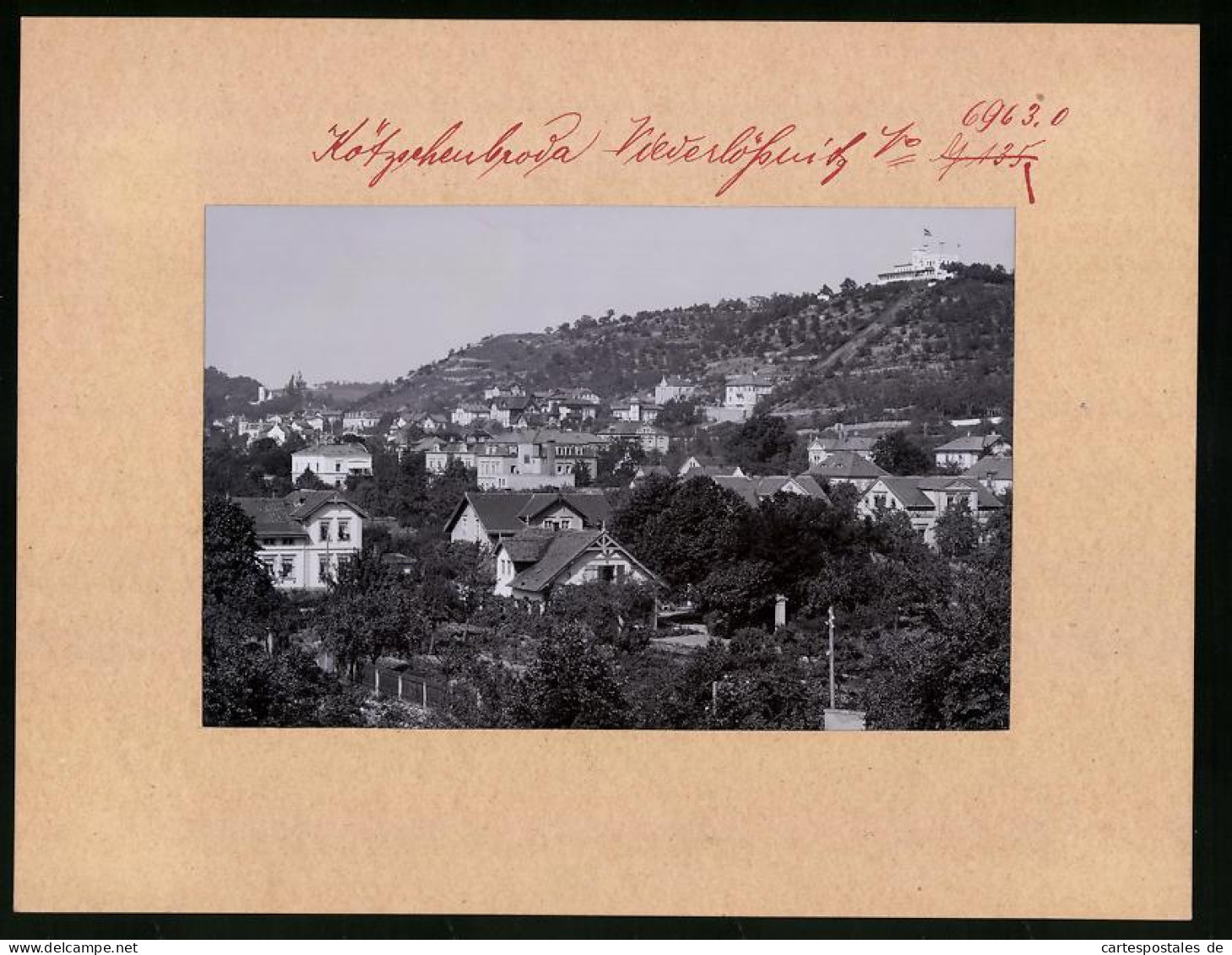 Fotografie Brück & Sohn Meissen, Ansicht Niederlössnitz, Ortspanorama Mit Blick Zur Friedensburg  - Orte