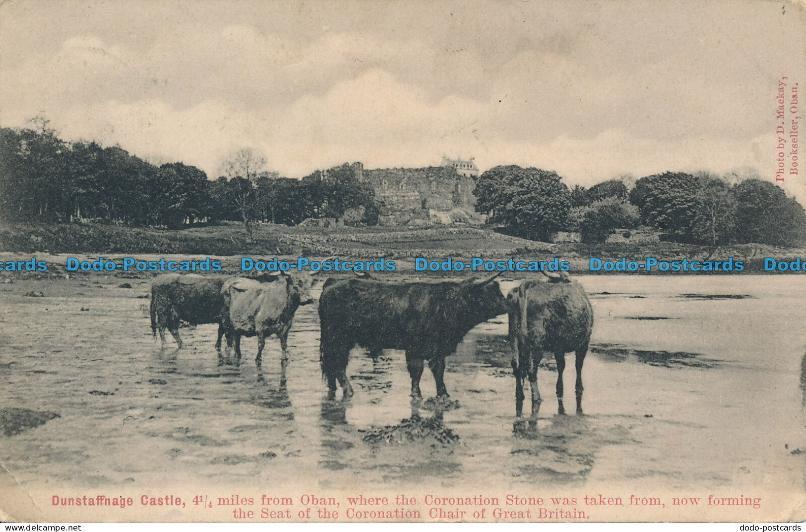 R081819 Dunstaffnage Castle. D. Mackay. 1904 - Monde