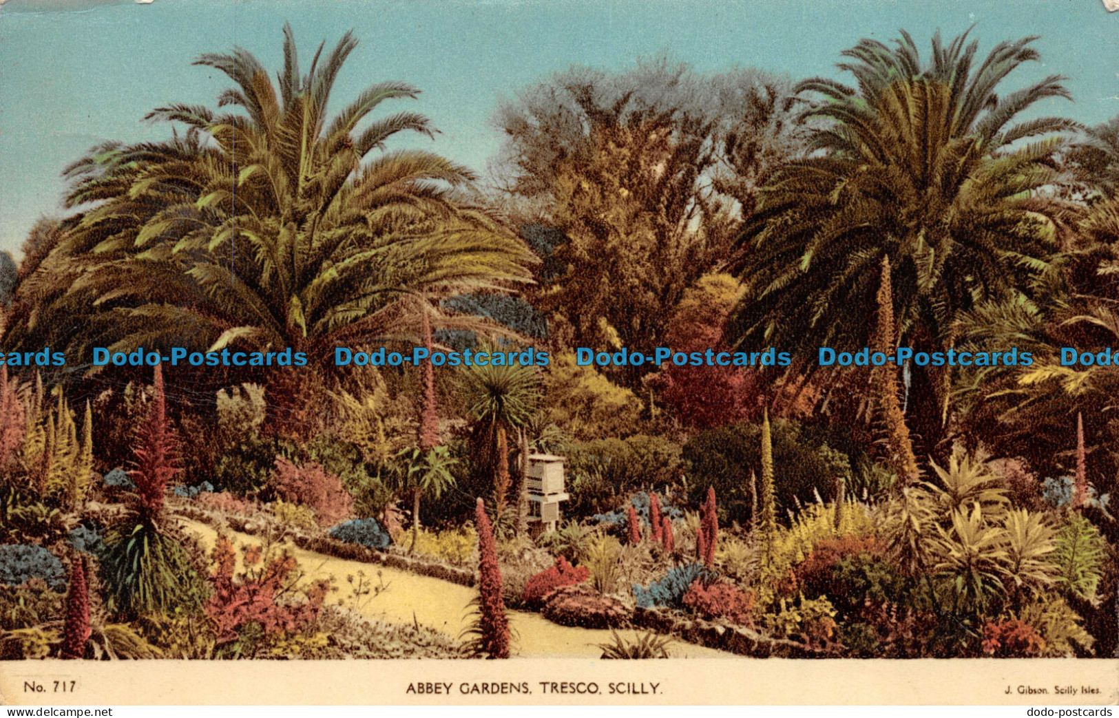 R081846 No. 717. Abbey Gardens. Tresco. Scilly. J. Gibson. 1956 - Mundo