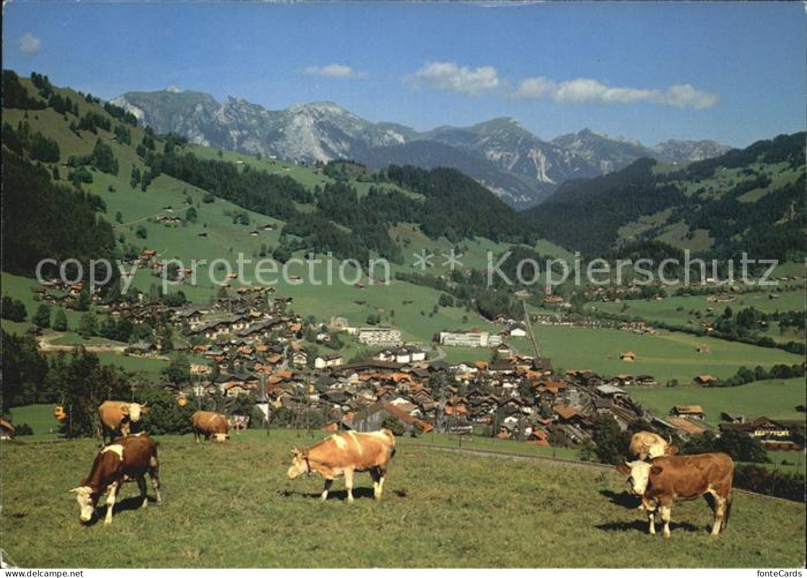 12455426 Zweisimmen Panorama Zweisimmen - Andere & Zonder Classificatie