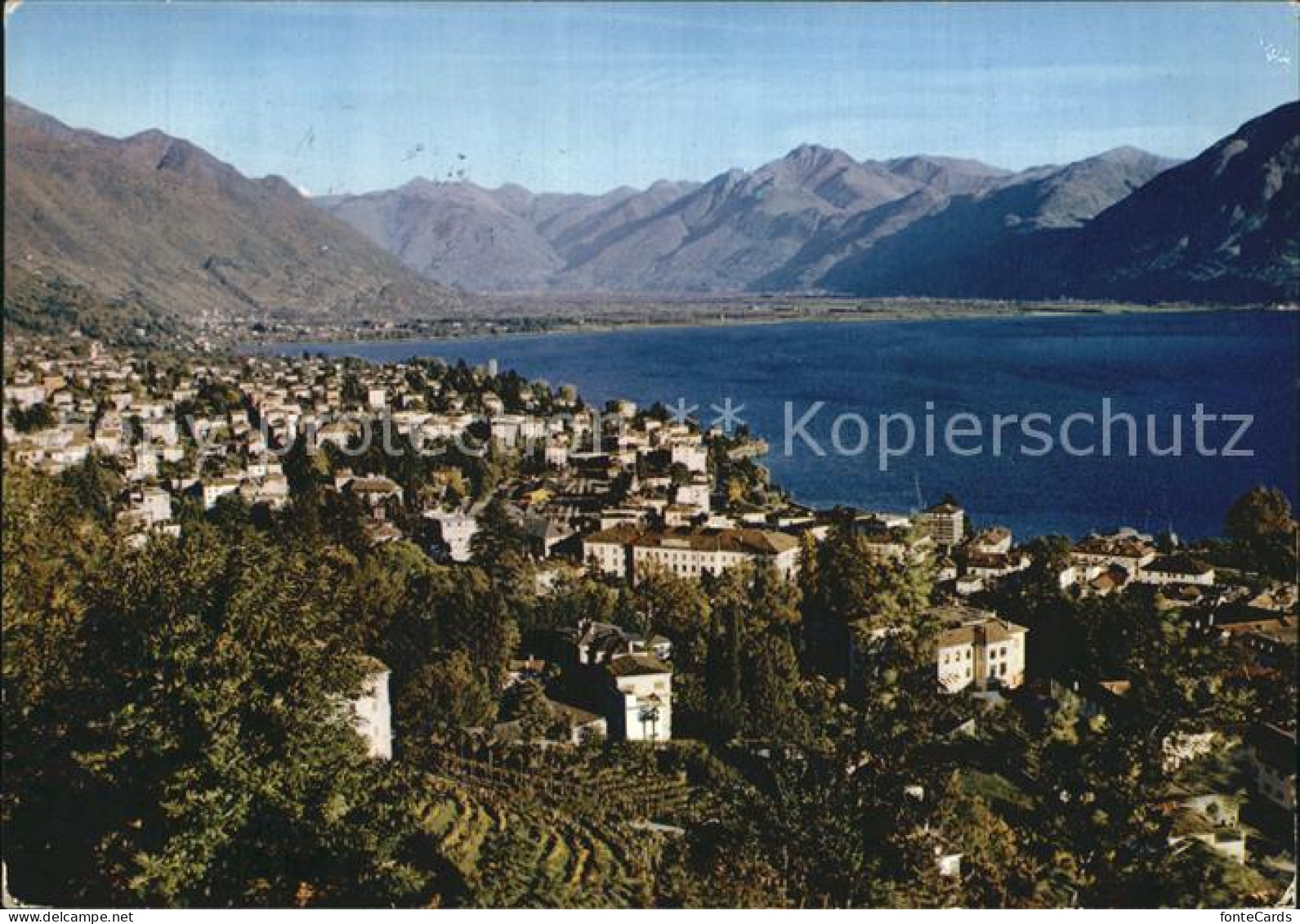 12448136 Locarno TI Muralto  - Andere & Zonder Classificatie