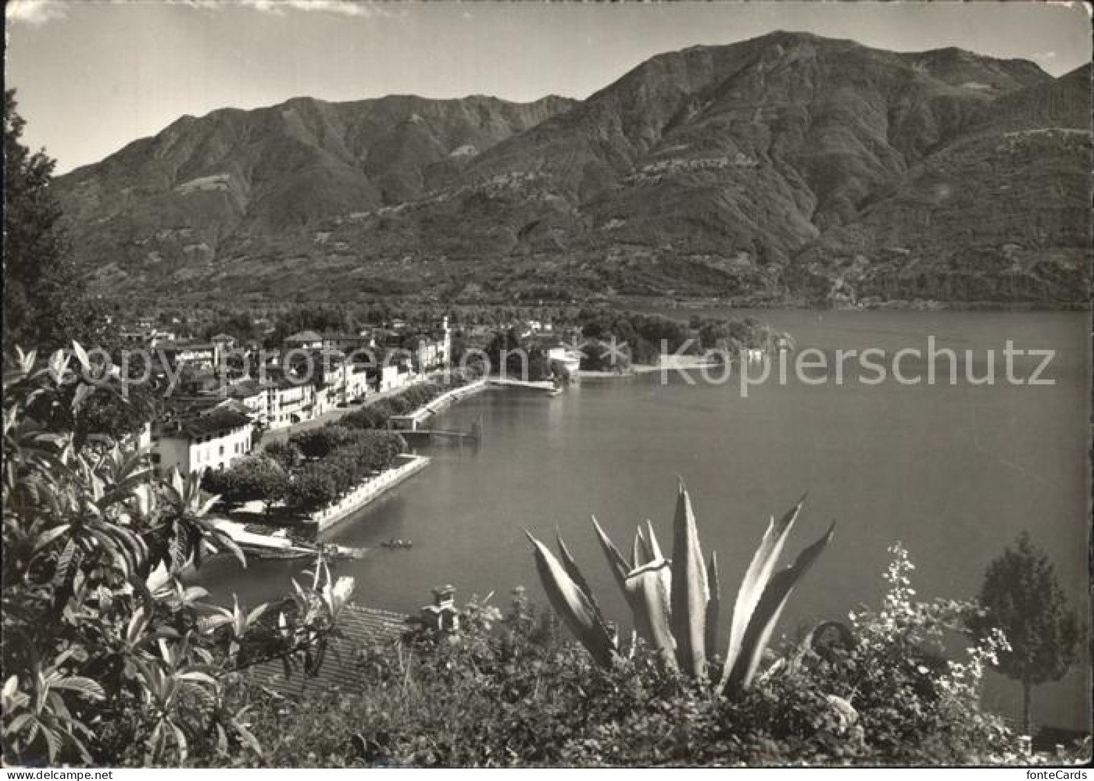 12431696 Ascona TI Panorama Lago Maggiore Ascona - Andere & Zonder Classificatie