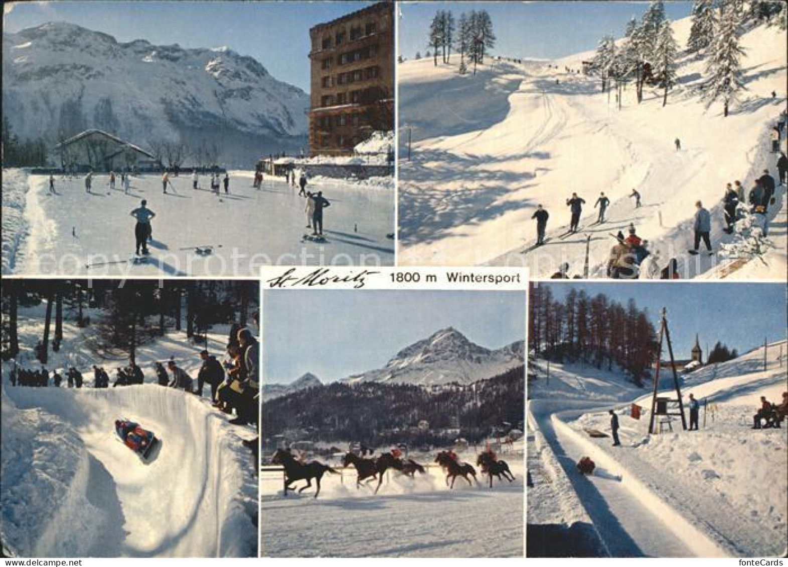 12372806 St Moritz GR Pferderennen Curling Skifahren Bobbahn St. Moritz - Altri & Non Classificati